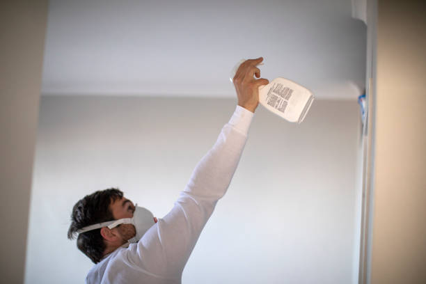 Best Kitchen Mold Remediation in Malaga, NJ